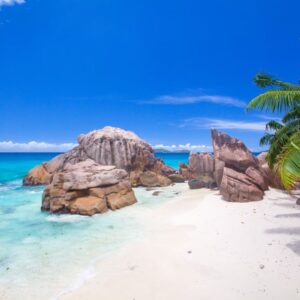 Memory Training Courses in Seychelles