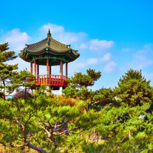 Memory Training Courses in South Korea